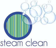 steam clean